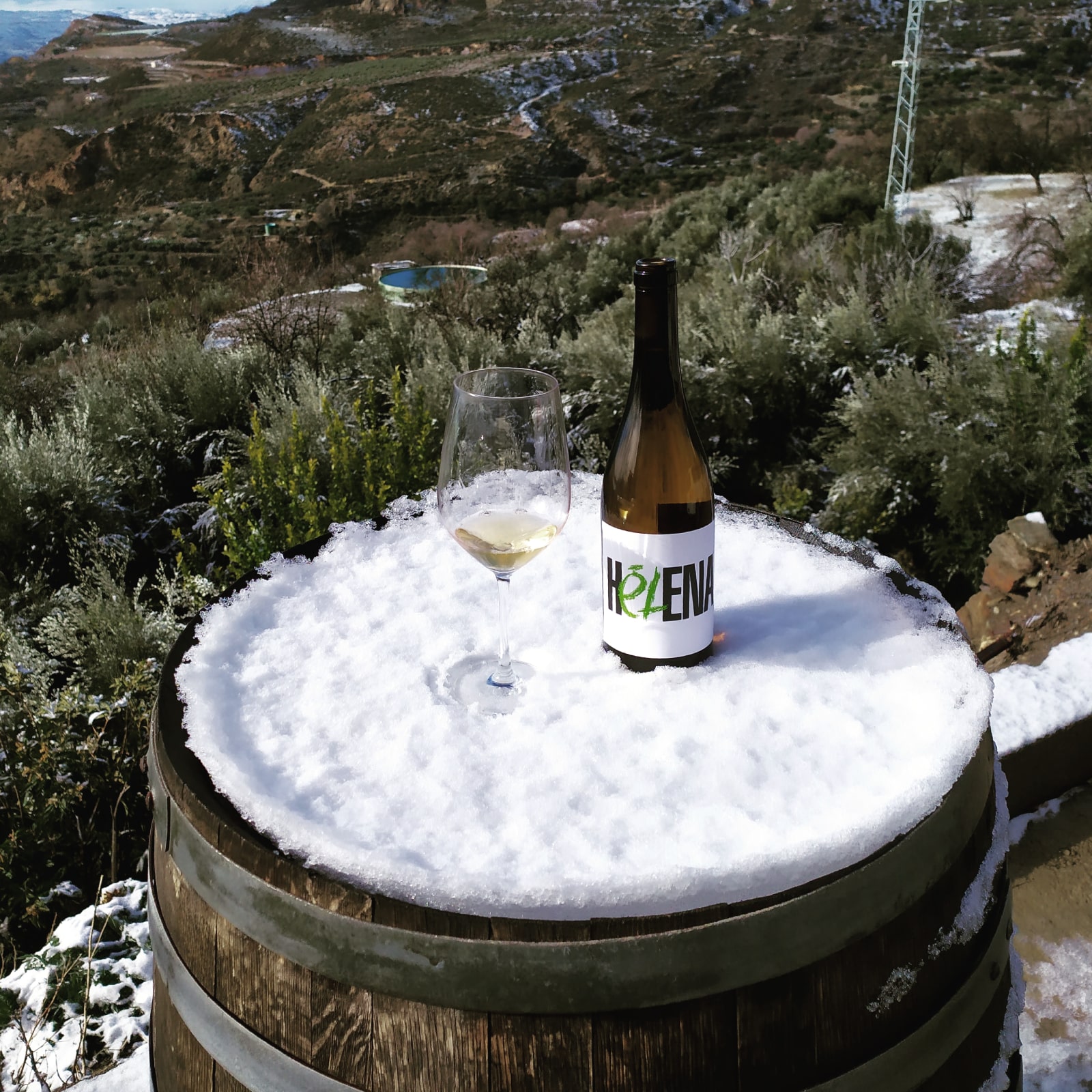 La mejor cata de vinos de Granada en la sierra