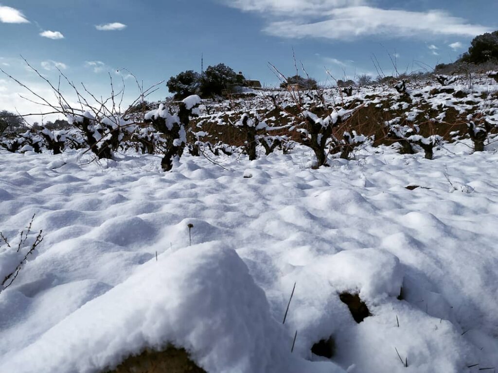 Sierra nevada tierra de vinos